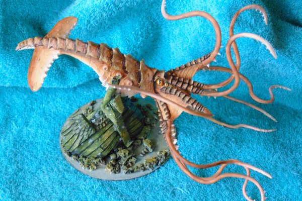 Kraken onion link