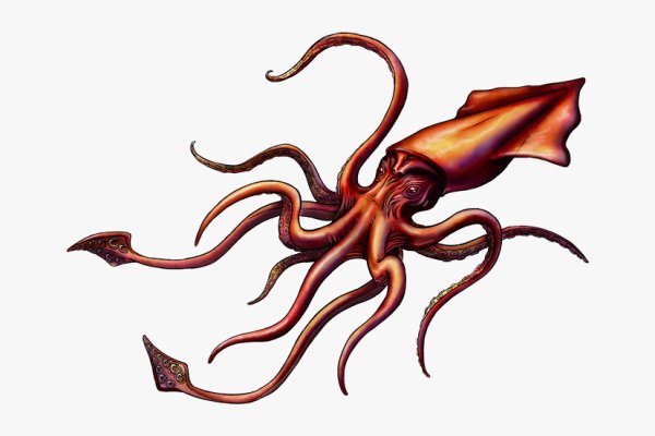 Kraken official