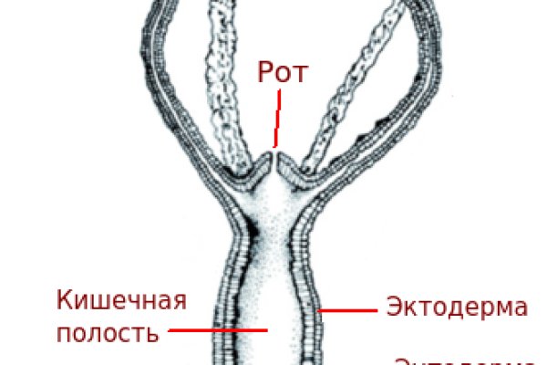 Сайты типа гидры