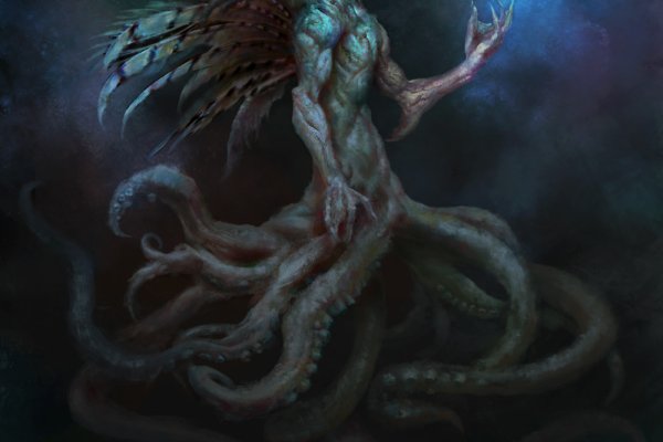 Kraken 19 at