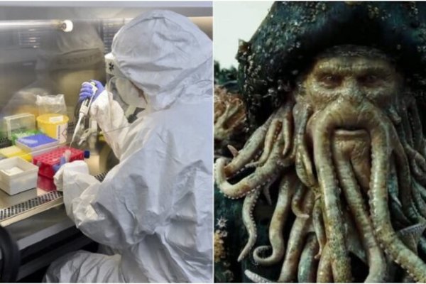 Kraken at сайт