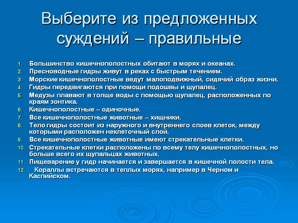 Гидра в даркнете